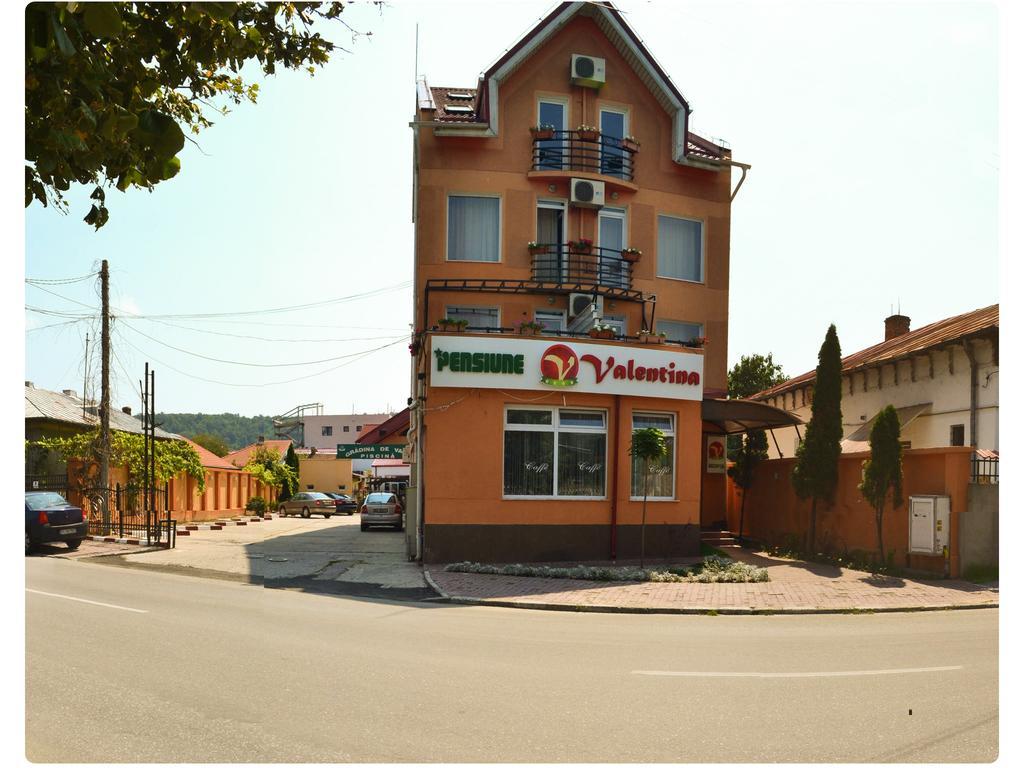 فندق Pensiune Valentina Râmnicu Vâlcea المظهر الخارجي الصورة